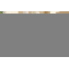 Poly Vl 30 Headset Emea - Intl En Loc Euro Plug | APLIUM