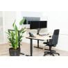 Protector Transparente Monitor Para 2 Monitores 22-27IN | APLIUM