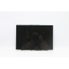 LCD MODULE H 82CU HPW