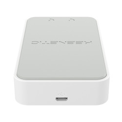 Keenetic Linear (KN-3110) Adattatore VoIP 2 Porte Fxs RJ11 | APLIUM