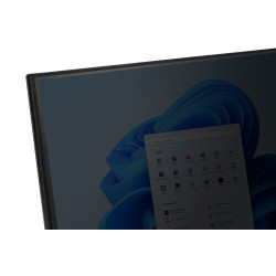 Privacy Filter 23.8IN 16:9 Box Of 25 - On Request | APLIUM