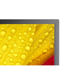 NEC MultiSync M551-2 Diseño de quiosco 127 cm (50") LED 4K U | APLIUM