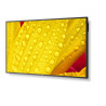 NEC MultiSync M551-2 Diseño de quiosco 127 cm (50") LED 4K U | APLIUM