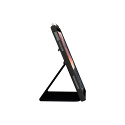 Apple iPad 11"(11/10G) Plyo Blk/Ice Bulk