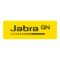 Jabra Panacast HDMI Cable Std. 1.83M/6FT | APLIUM