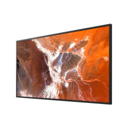 Sony 50" Pro BRAVIA 400nit DBNG Standard Display