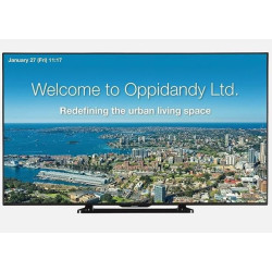 Monitor 70", 16/7, 350 CD/M2 | APLIUM