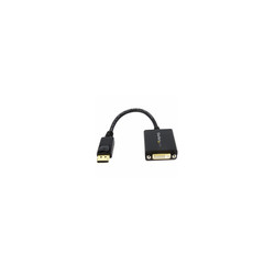 DisplayPort to DVI Adapter
