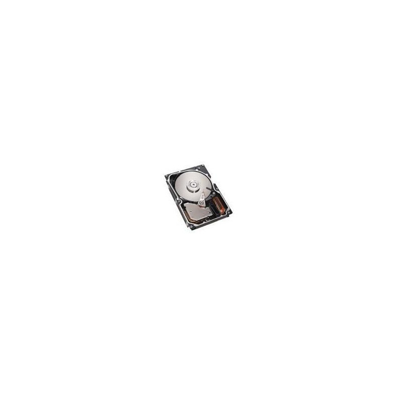 73GB SAS 10K RPM 2,5" HOTSWAP