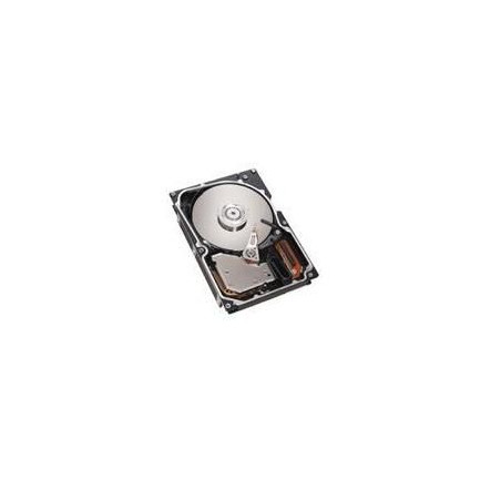 73GB SAS 10K RPM 2,5" HOTSWAP