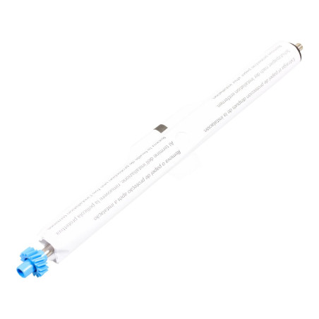 Transfer Roller