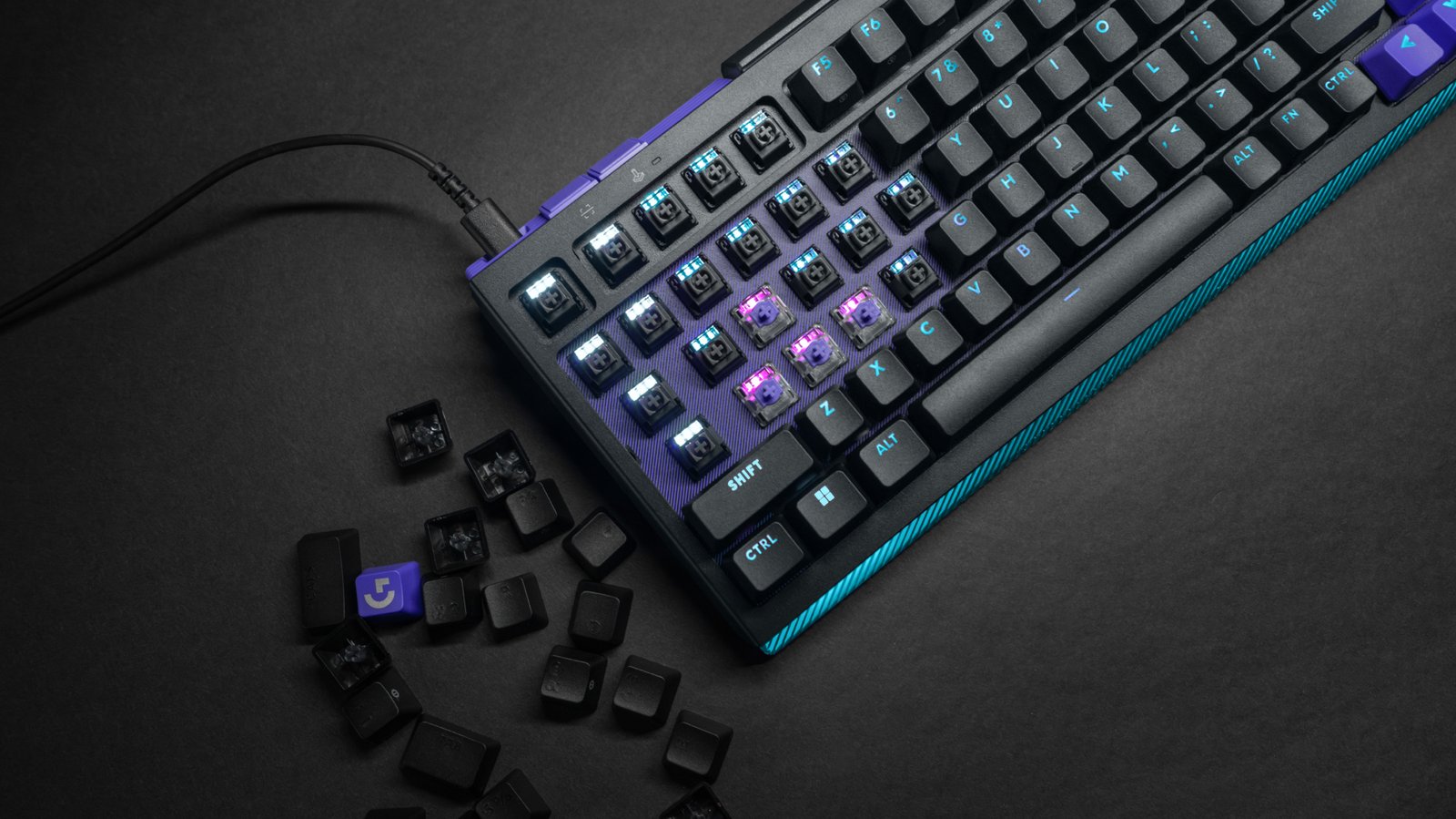 1797484-5a3c5d7c-d22e-49be-becd-9dd24dfd08d3.jpg